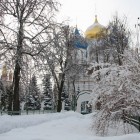 IMG_2309